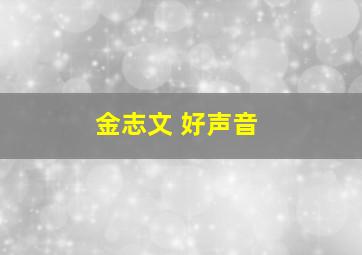 金志文 好声音